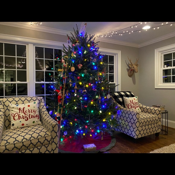 Meet your Posher, Patricia - Picture 1 of 1